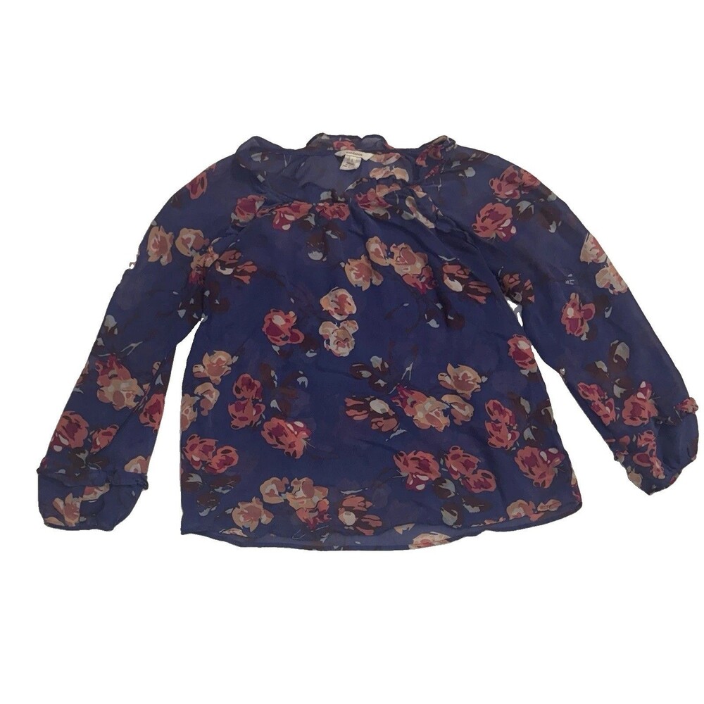 Sundance Blue Floral Silk Chiffon Ruffle Long Sleeve Pullover Top Womens Large